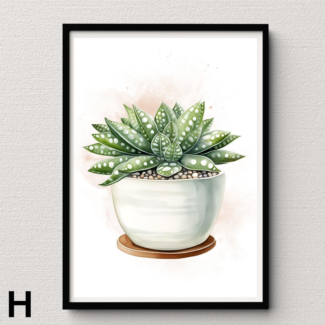 SWC19】多肉植物 水彩画 アガベ サボテン ポスター Succulent - メルカリ