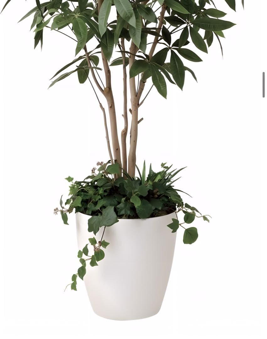 光触媒　人工観葉植物　フェイクグリーン　パキラ（植栽付） 高さ 1.8ｍ