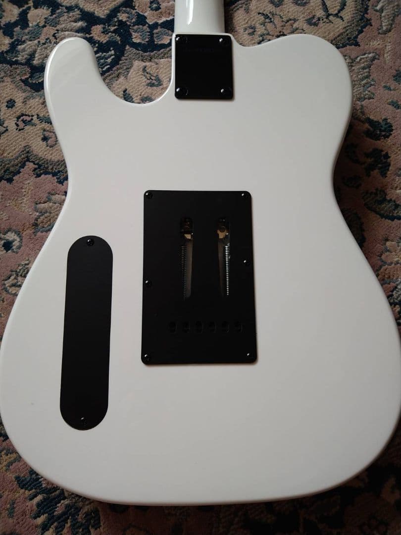 FERNANDES / TEJ-STD SH '24 SW - メルカリ