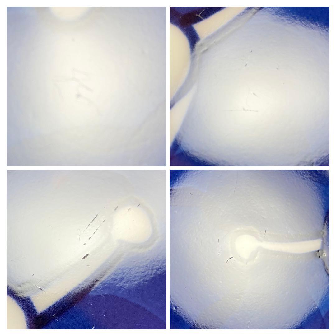 宮脇 大　源右衛門　染濃　プルーン文　中皿　小皿　プレート