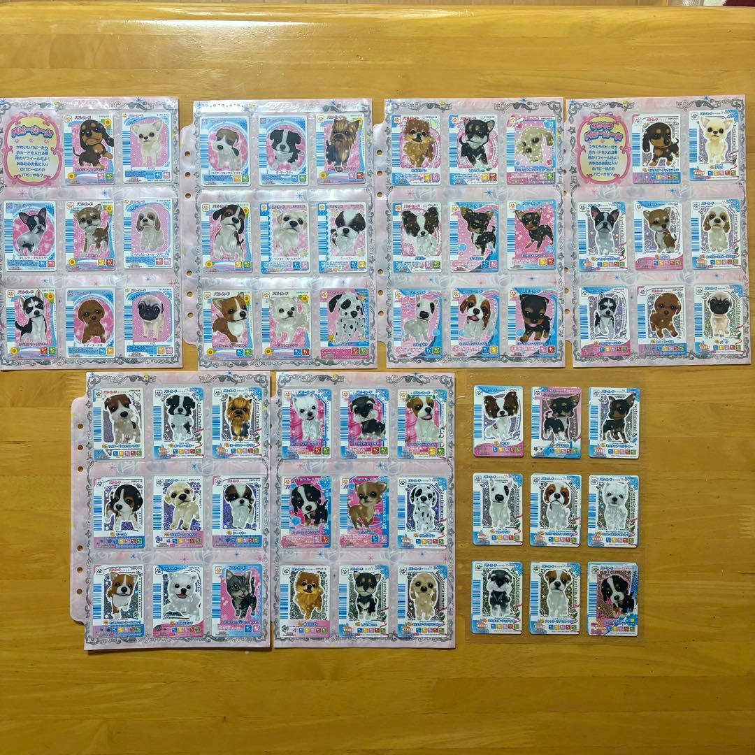 ワンタメ カード プレミアムパピブック コンプリート 限定カード 含