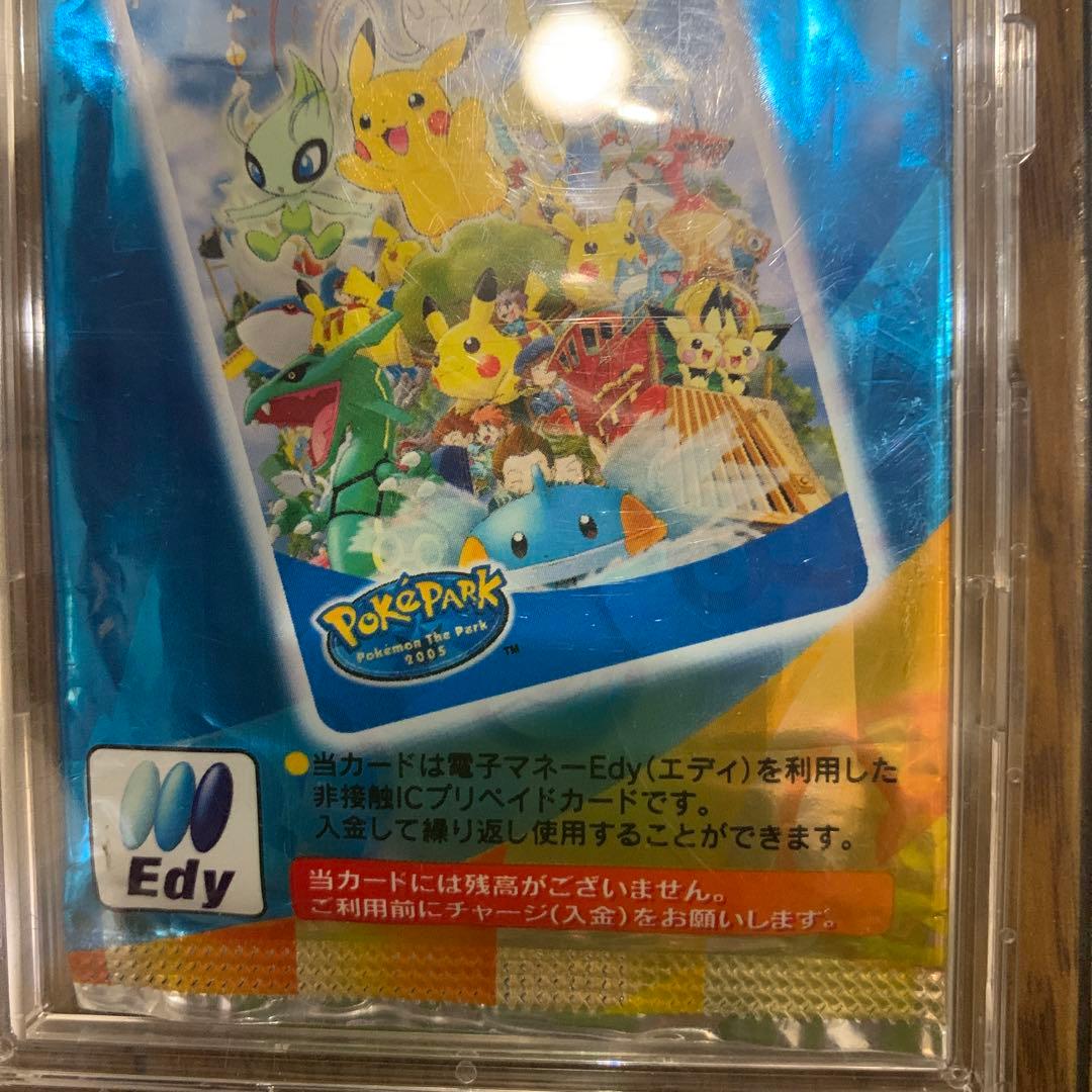 ポケパーク スペシャルエディカード ポケモン 二枚セット - メルカリ