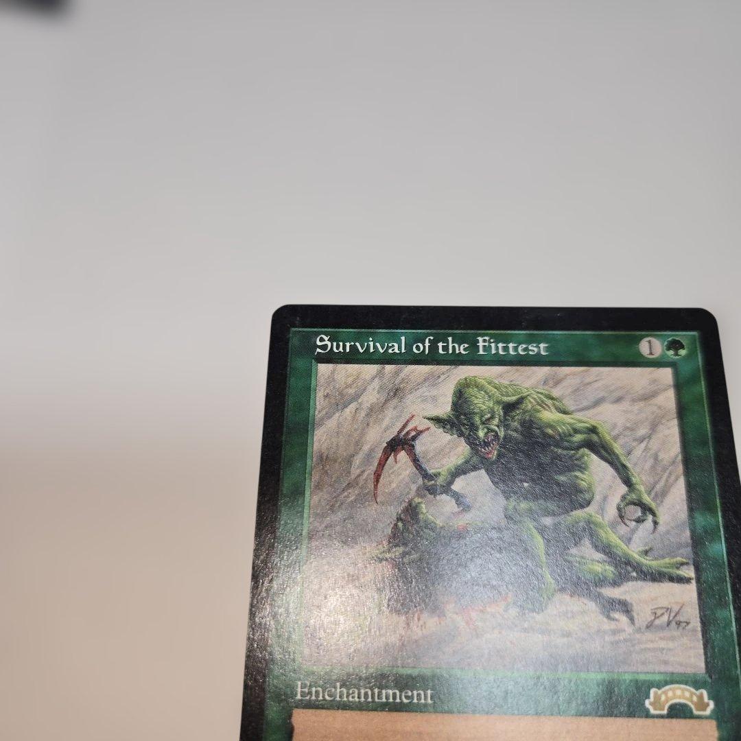 【激レア】適者生存　NM相当