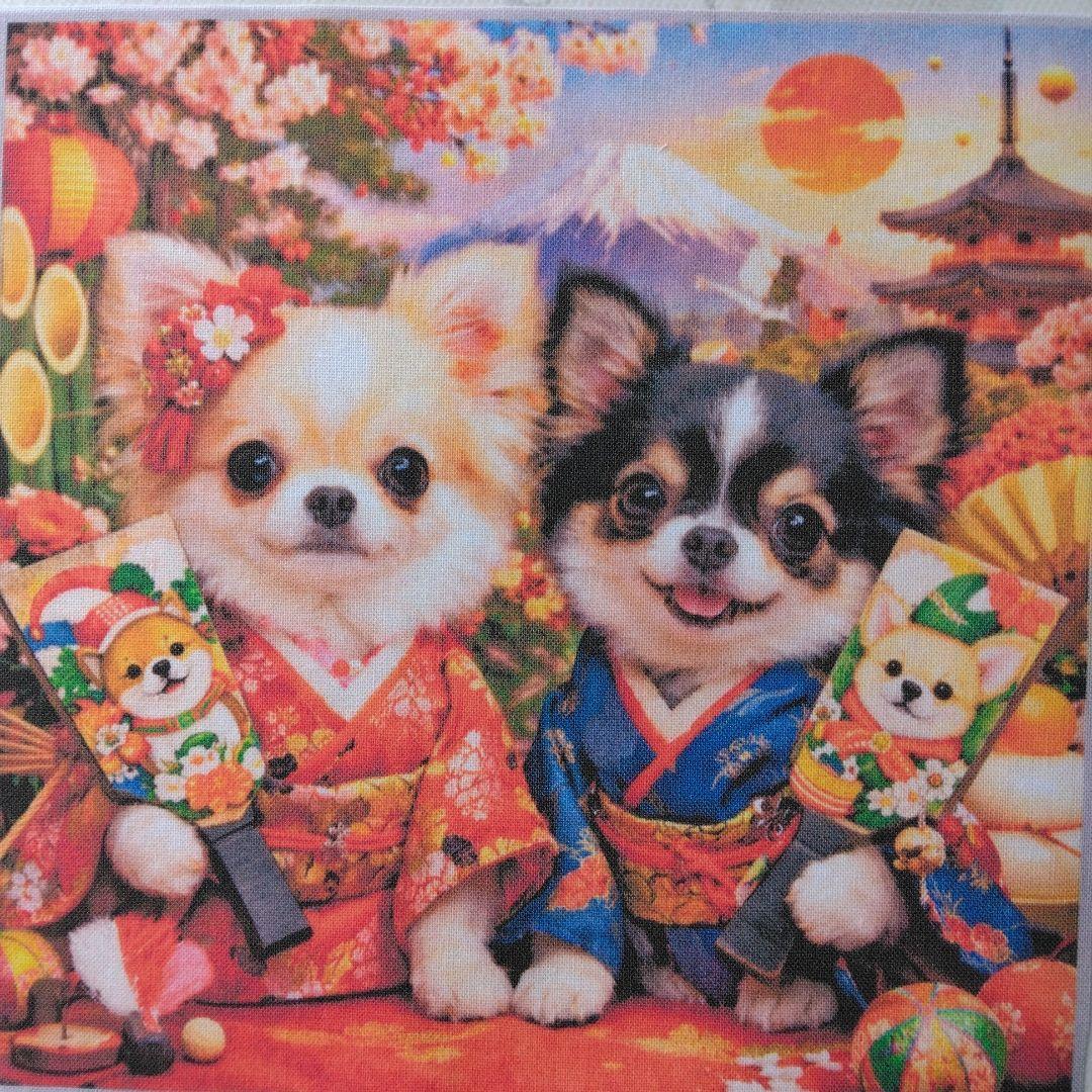 ☆受付☆チワワ No.B