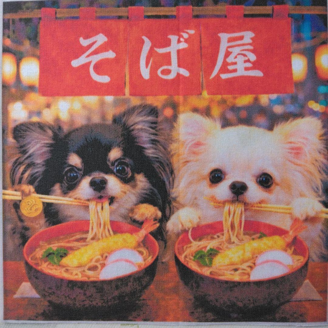 ☆受付☆チワワ No.B