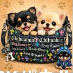 ☆受付☆チワワ No.B