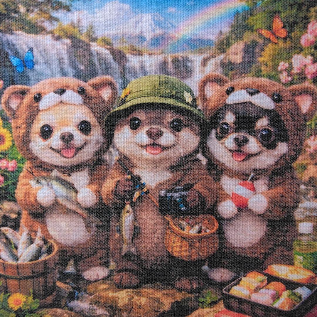 ☆受付☆チワワ No.B