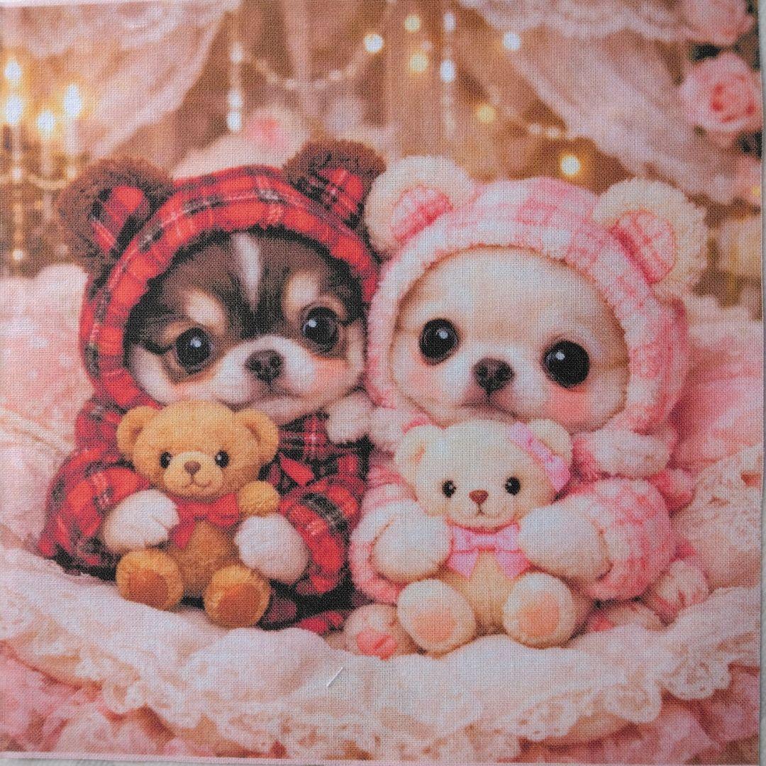 ☆受付☆チワワ No.B