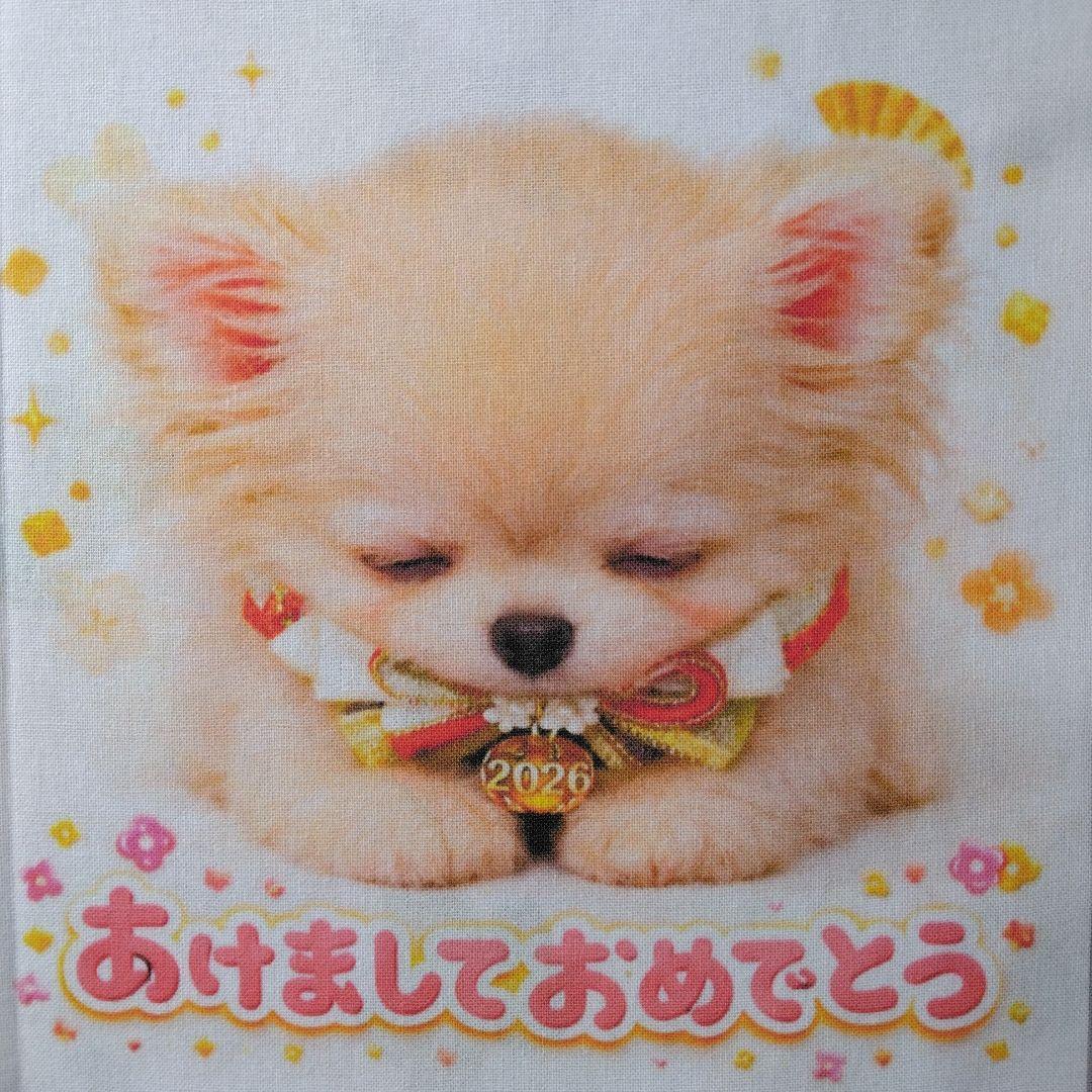 ☆受付☆チワワ No.B