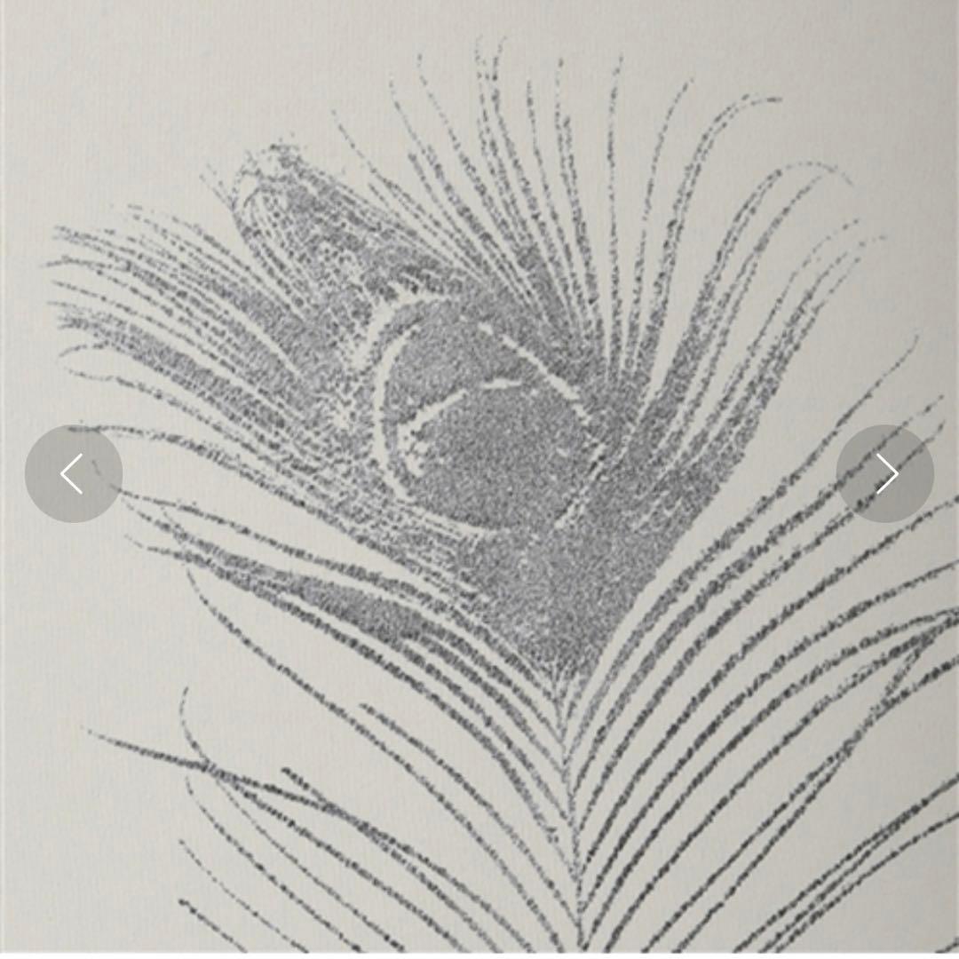 Francfranc リパヴォネ カーテンライトベージュ H2000×W1000