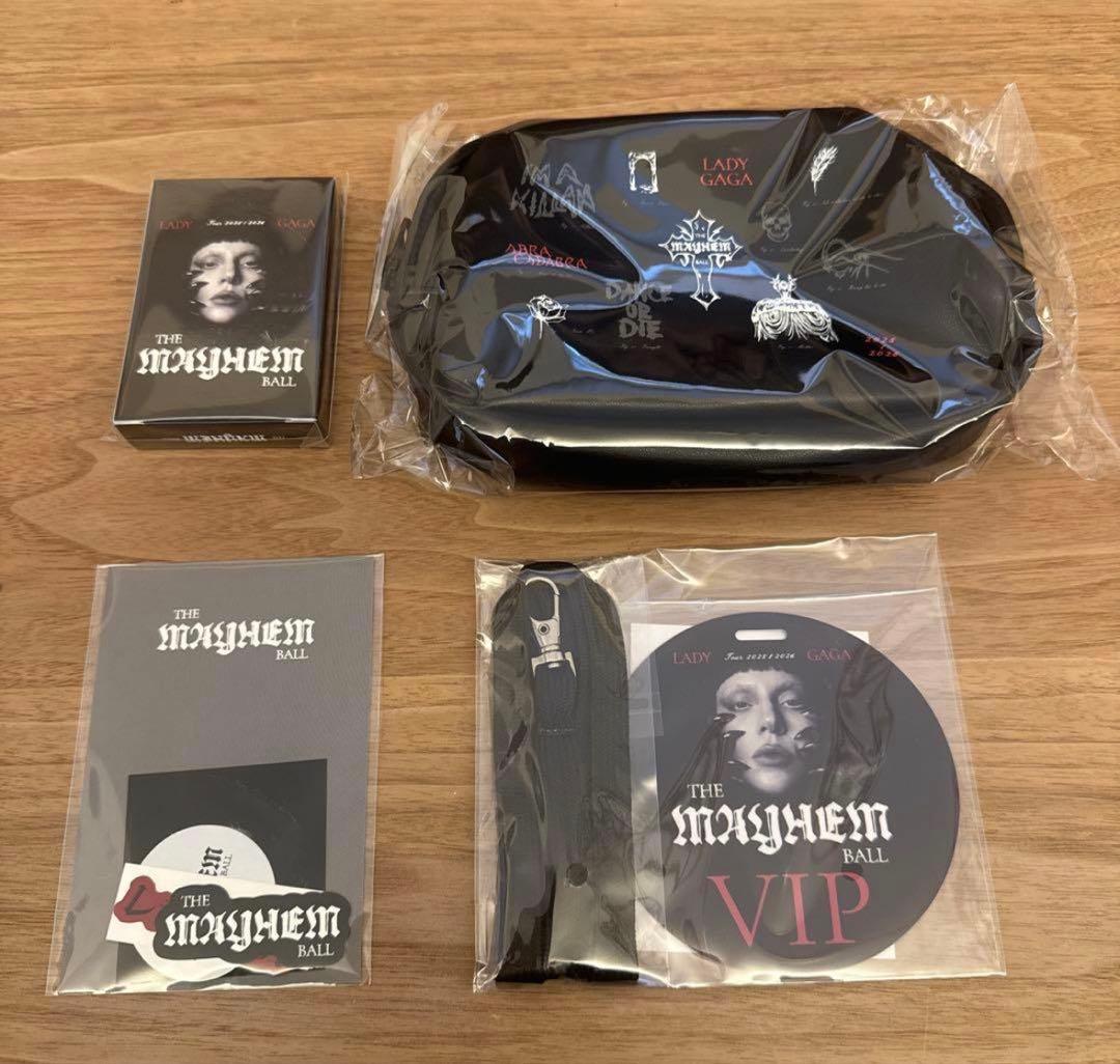 新品未開封】Lady Gaga 2026 VIP SILVERグッズ - メルカリ