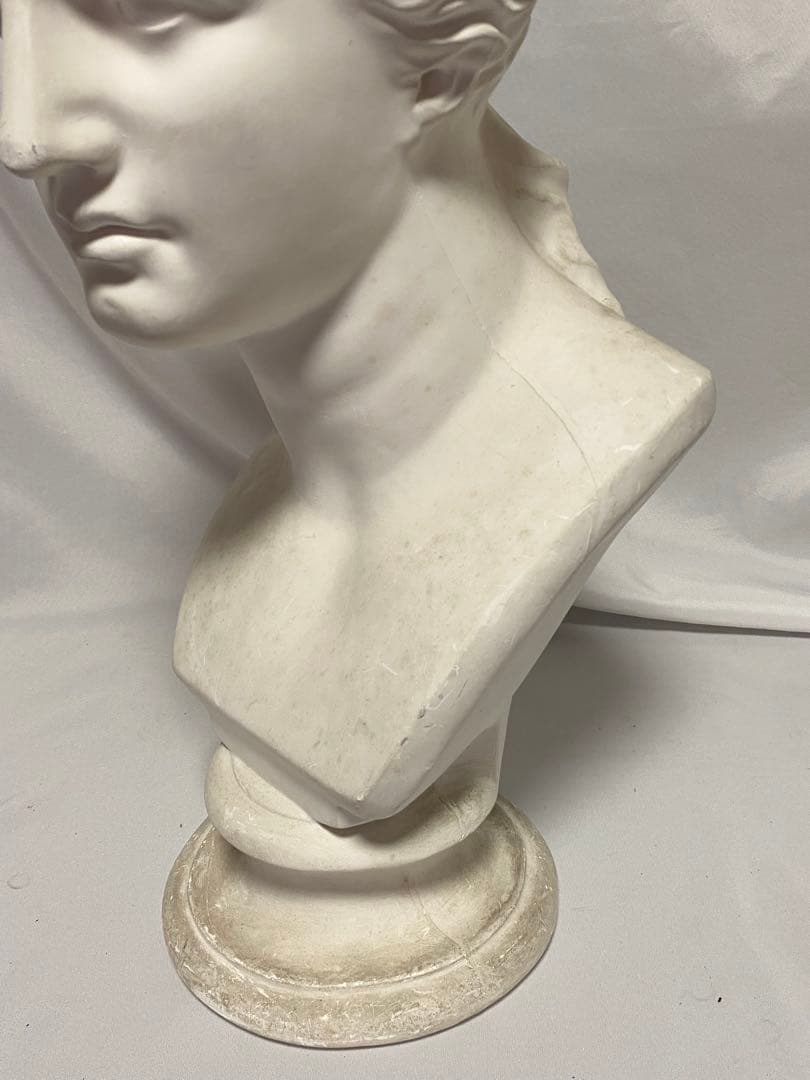 2669❣️ 石膏像 ミロのヴィーナス 胸像 美術 デッサン オブジェ