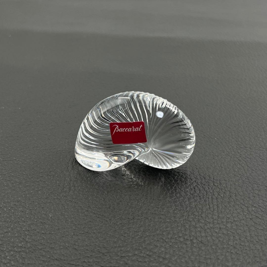 Baccara アンモナイト 置物 ペーパーウェイト オウムガイ 貝 - メルカリ