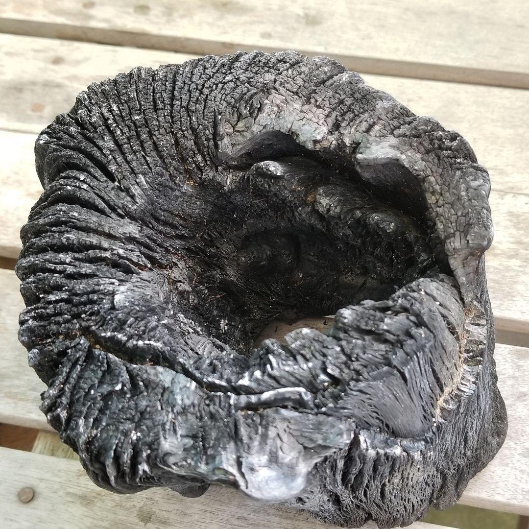 紀州備長炭オブジェ　一点物　希少