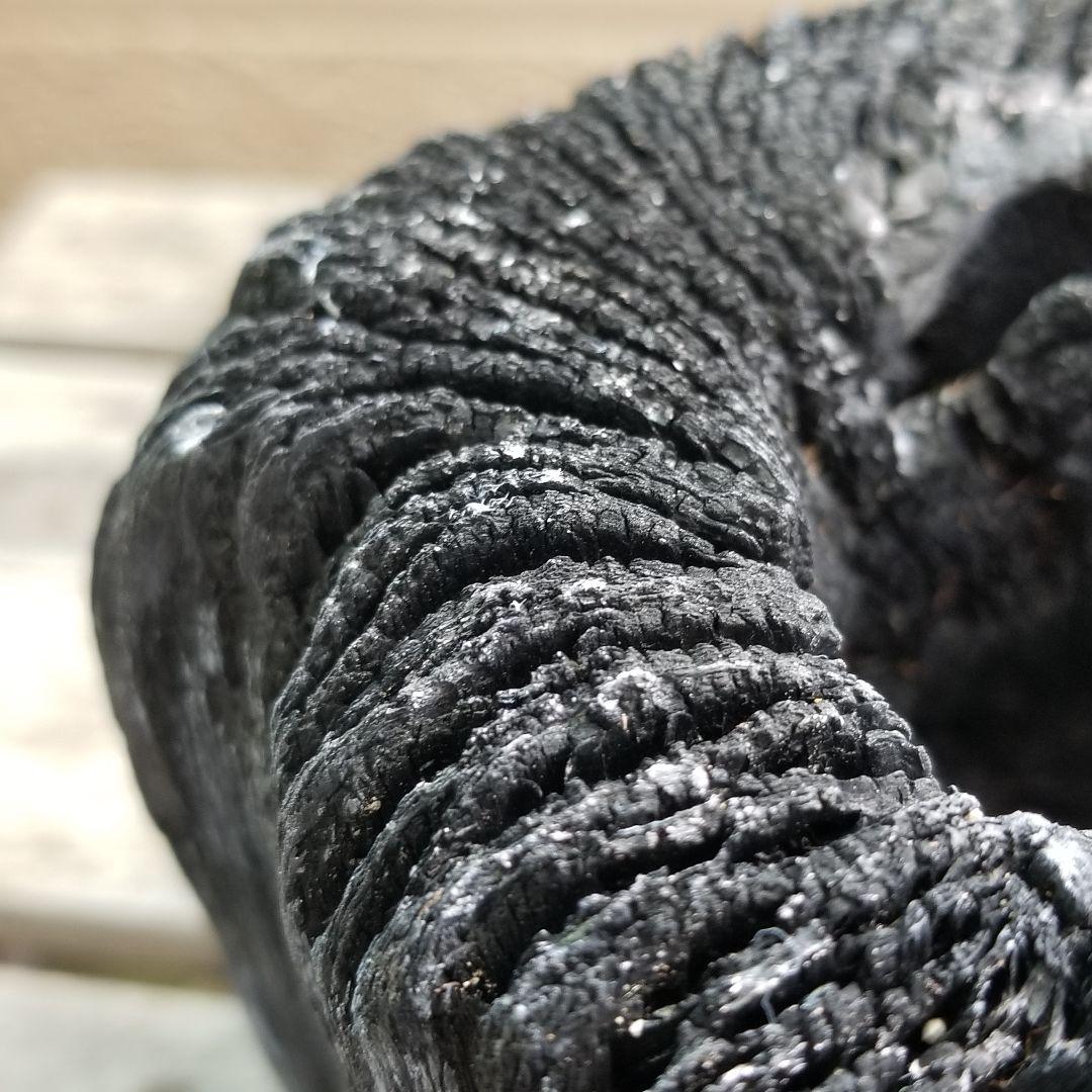 紀州備長炭オブジェ　一点物　希少