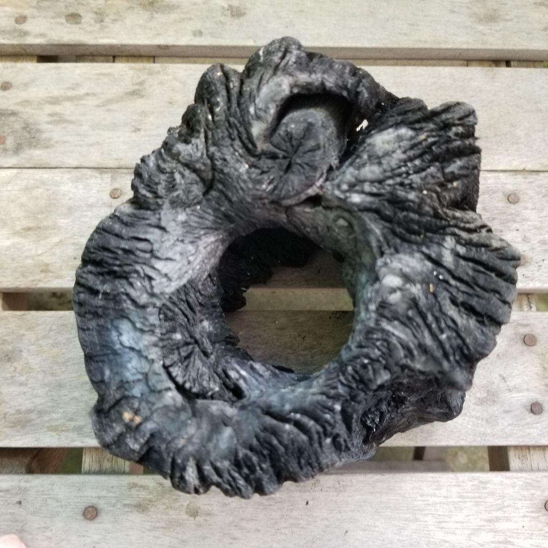 紀州備長炭オブジェ　一点物　希少