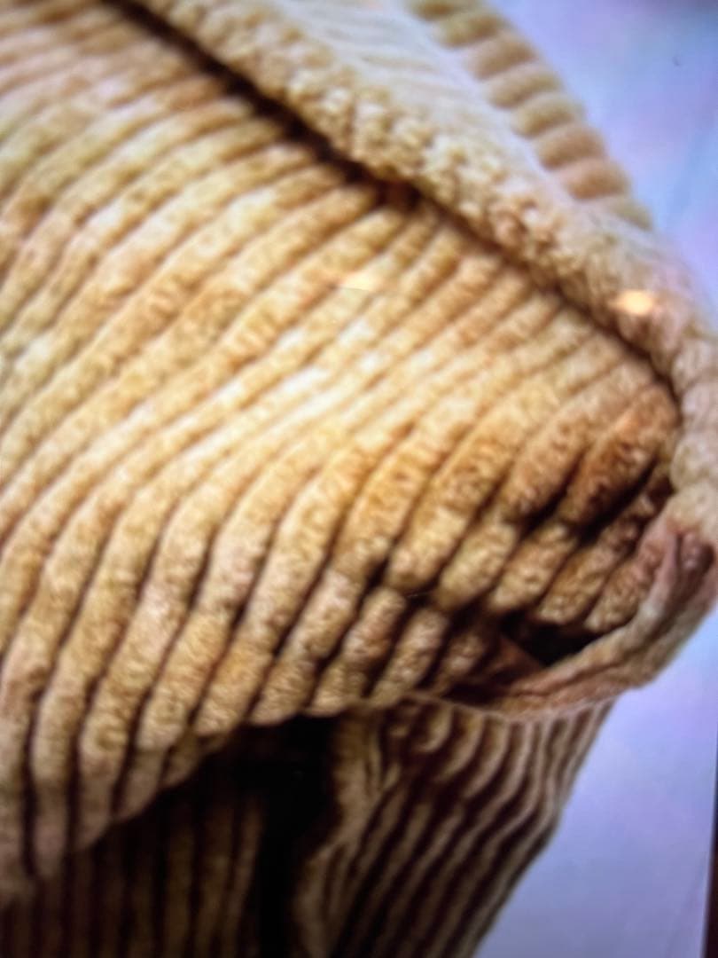 WTWダブルティ➖