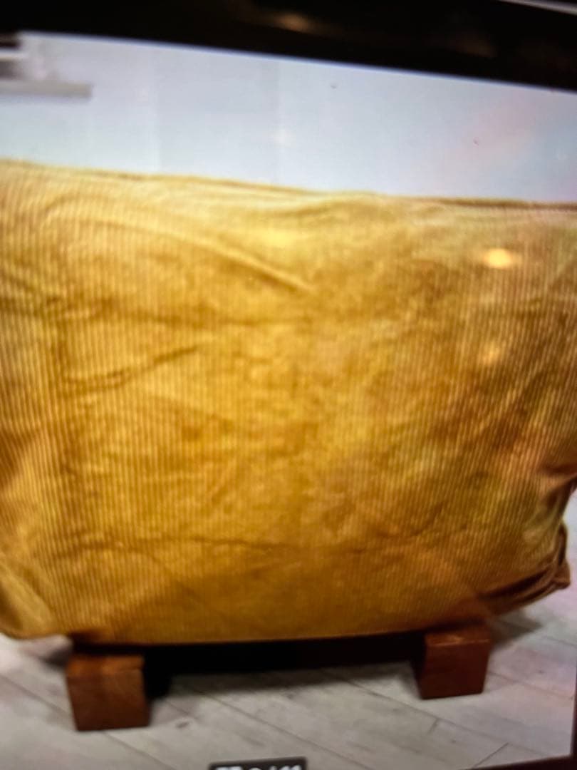 WTWダブルティ➖