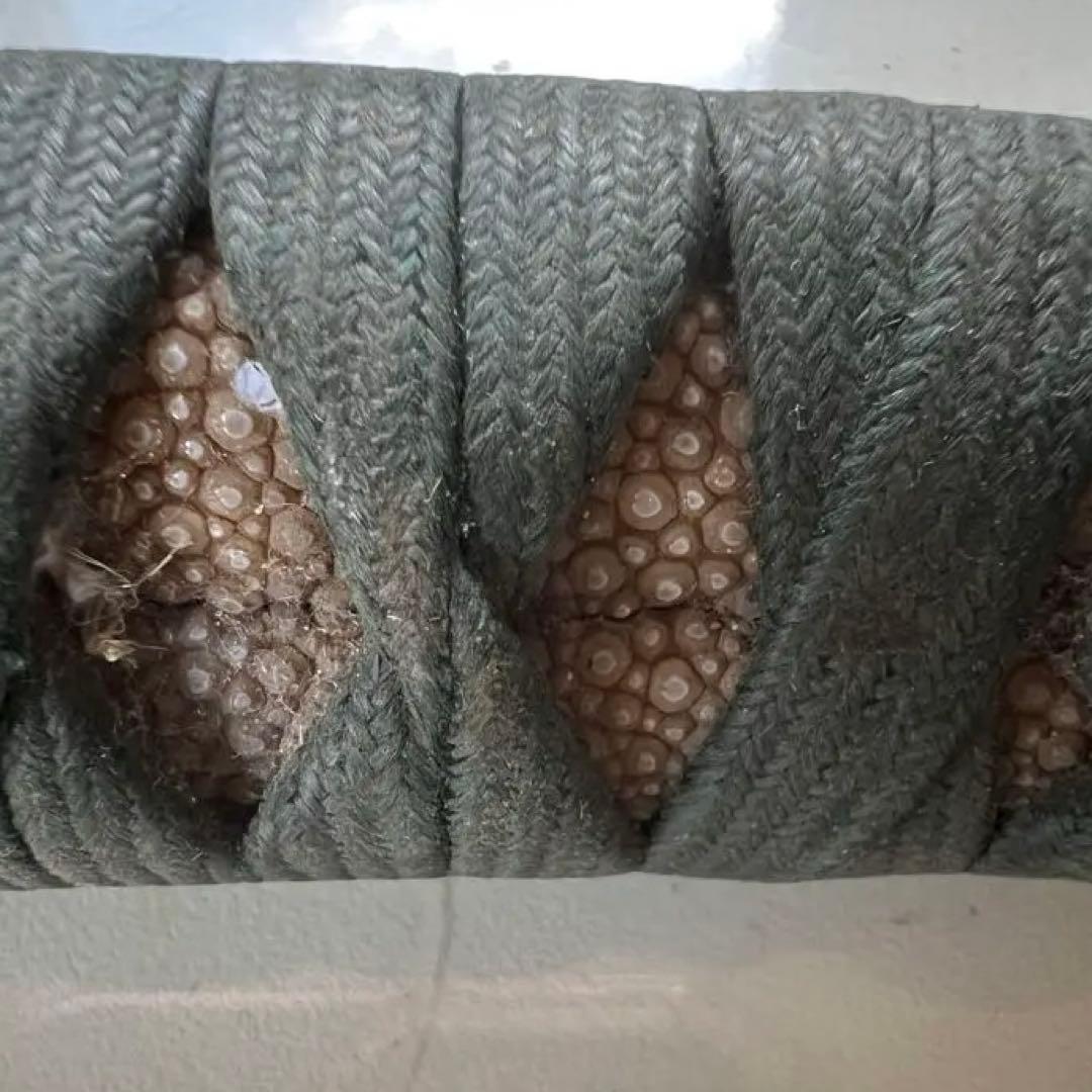 鍔（つば）出羽秋田住　正阿弥傳七 柄、（つか） 鞘（さや）