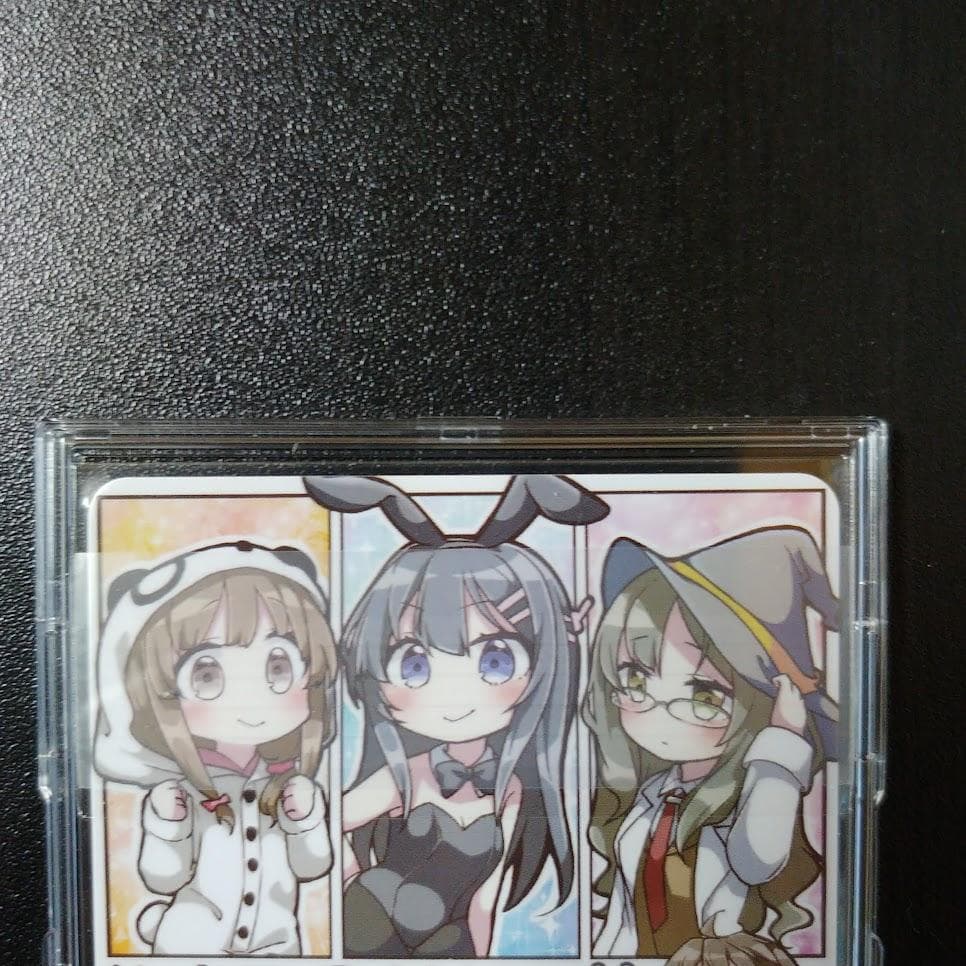 希少】青ブタ 泡沫の存在 桜島麻衣 SP 海外Ver - メルカリ