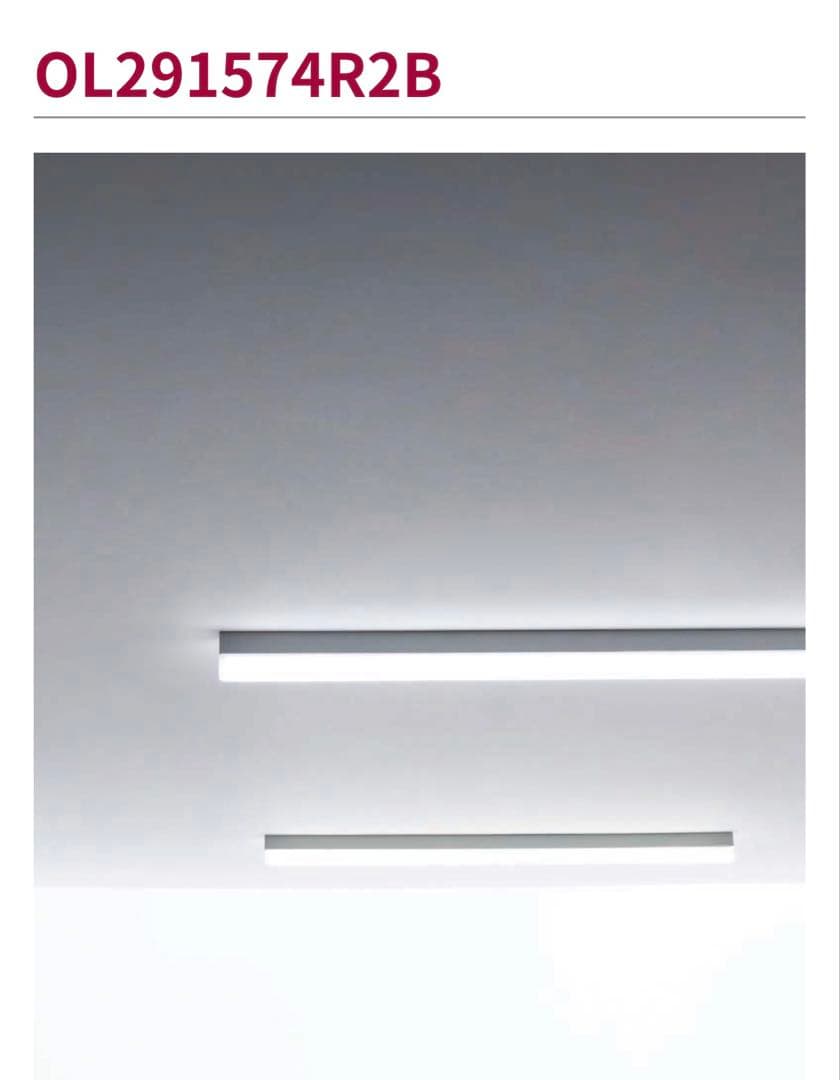 ODELIC 2セット OL291574R2B 昼白色　オーデリック