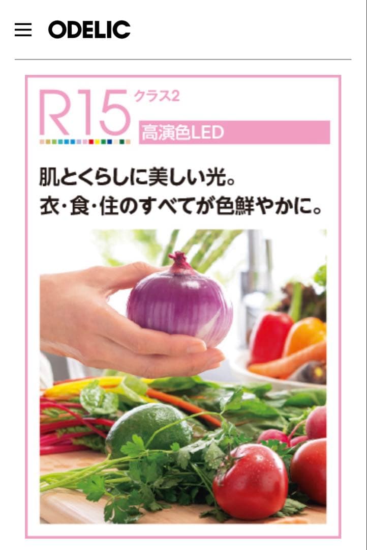 ODELIC 2セット OL291574R2B 昼白色　オーデリック