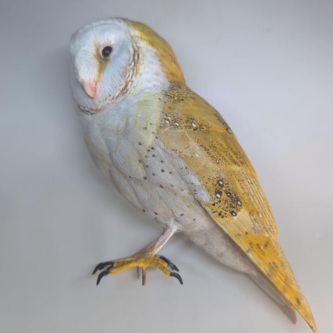 リアル　「メンフクロウ」　野鳥彫刻　 バードカービング　木彫りの野鳥