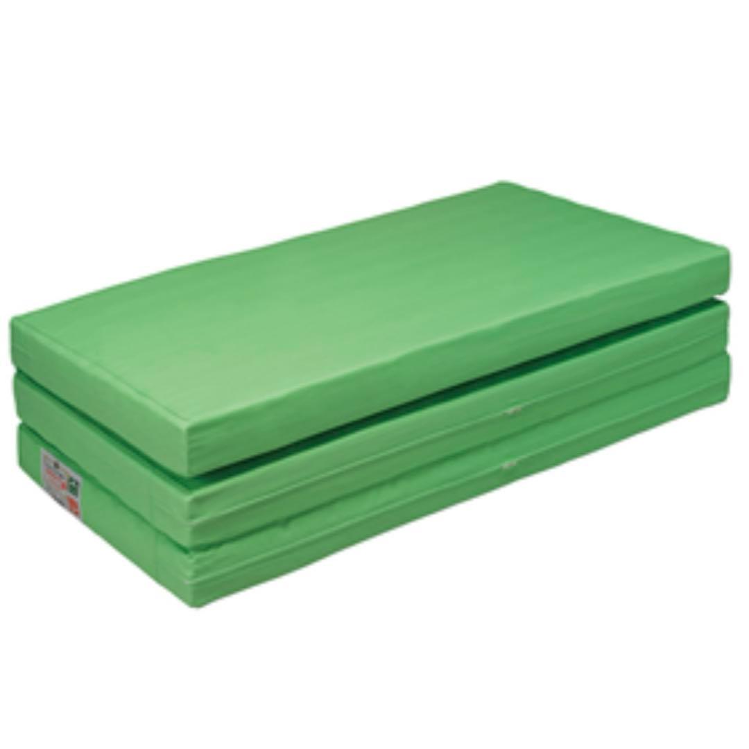 【新品】ヘルスウェーブ ゴールドすややか　DCX　姿勢矯正 健康寝具