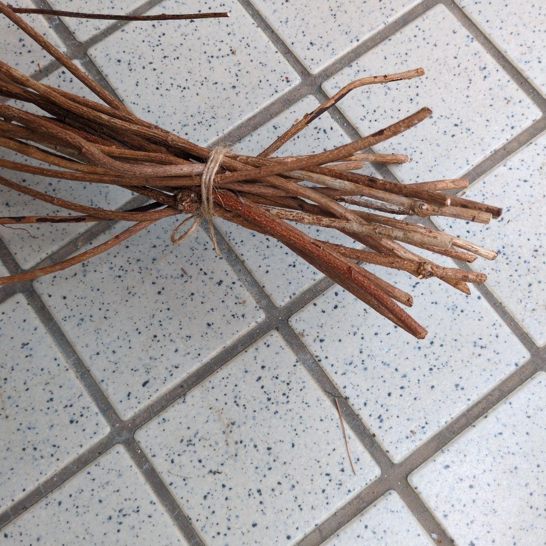 アケビの蔓 ランナー 4mm〜5mm 75M以上！2点同梱です。