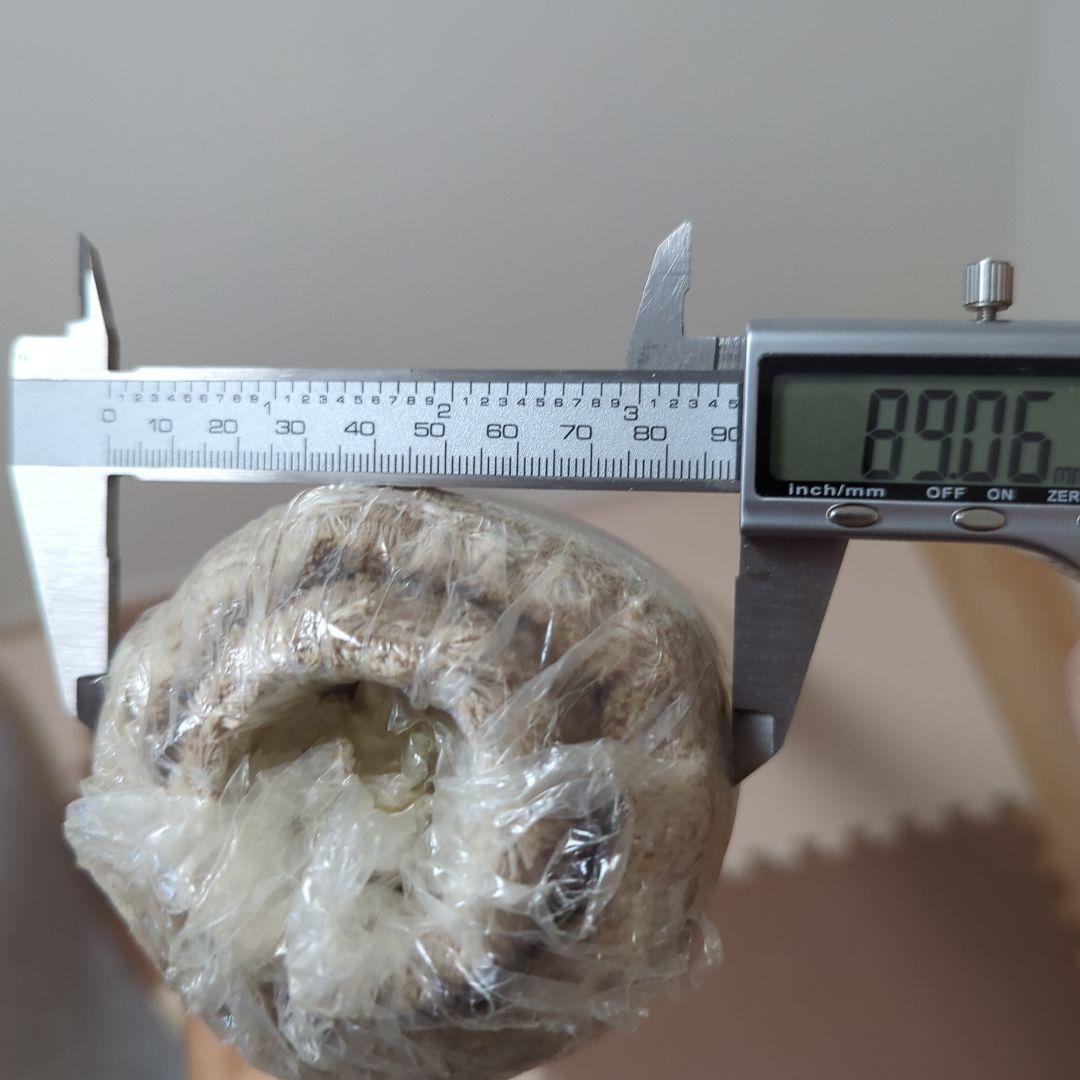 ロールキャンバス　145cm×10m　新品未使用