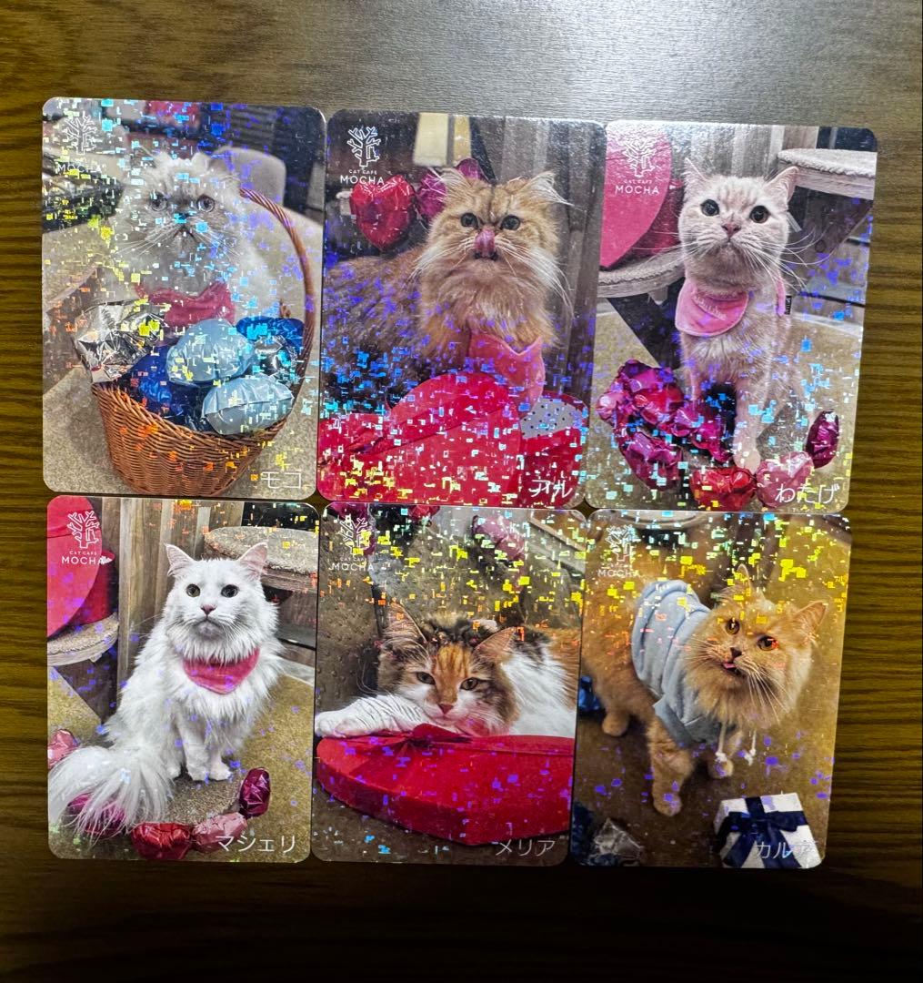猫カフェmocha にゃんずトレカ バレンタイン 渋谷公園通り店 - メルカリ