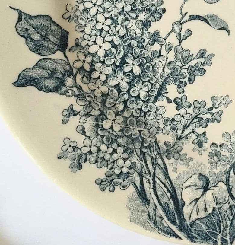 希少 美品 ジアン LILAS 平皿C フランスアンティーク - メルカリ