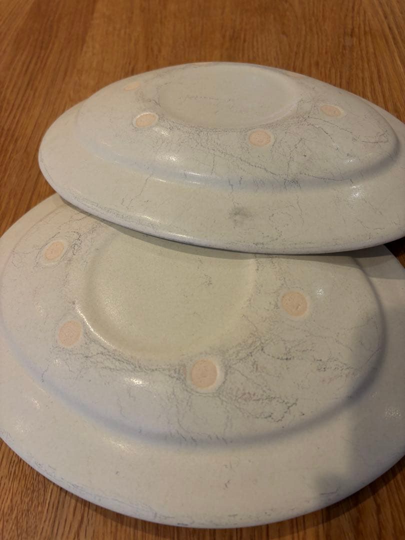 Awabi ware オーバル皿M アイボリー2枚セット アワビウェア 岡本純一