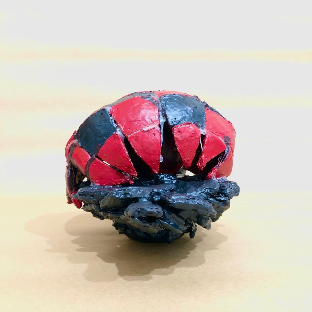 【2026年発表】『Ladybird』Darma