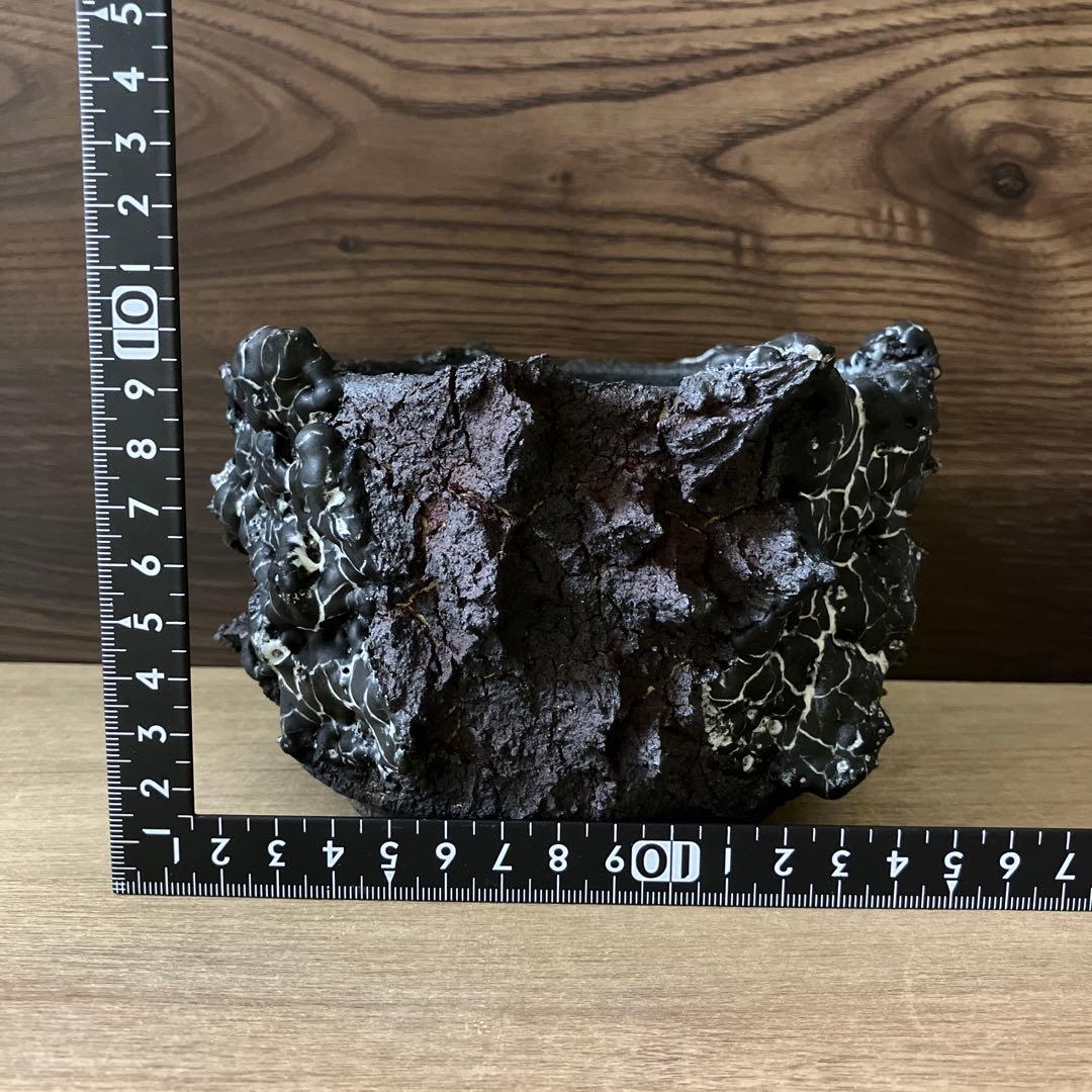 未使用】作家鉢 GODZILLA 鉢 BLACK AND WHITE - メルカリ