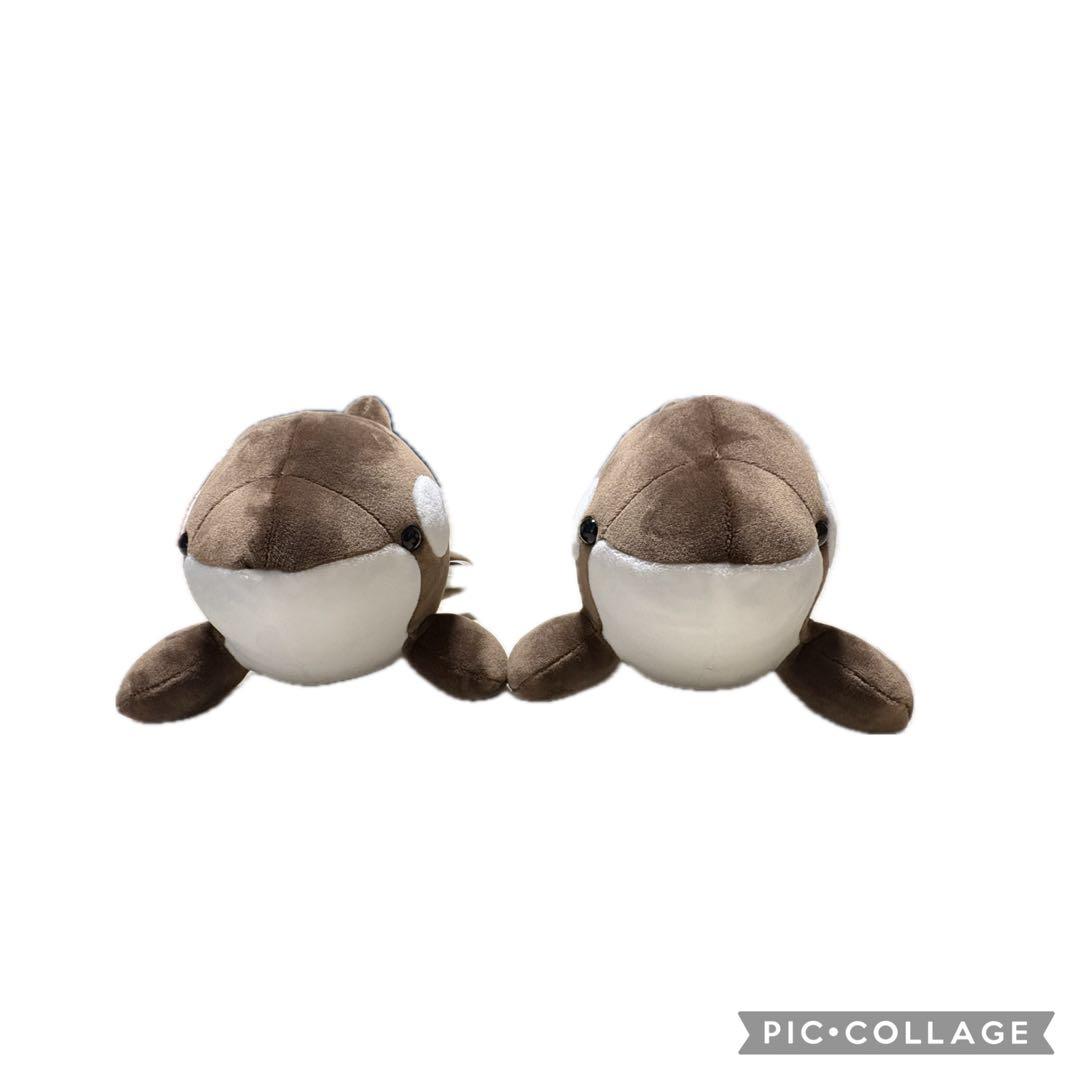 神戸須磨シーワールド オルカくじ バレンタイン限定カラー 4等 - メルカリ