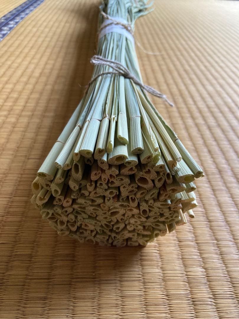 【お飾り用】乾燥真菰(まこも)葉［長さ約145cm］約400g 上質品