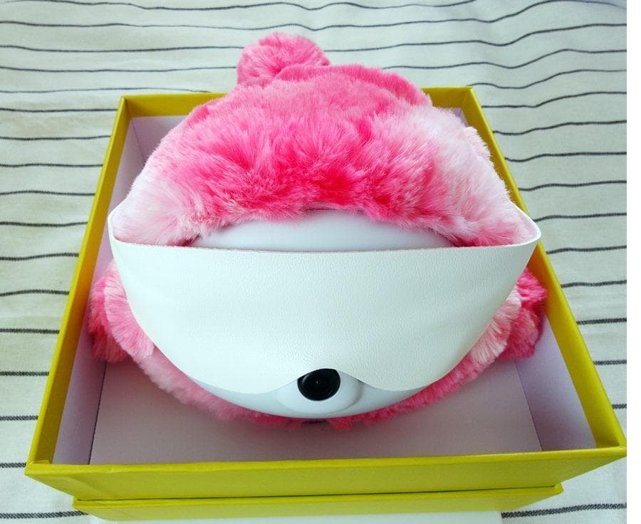 lopetpo AIペットロボット 充電器 着せ替えカバー付き 美品