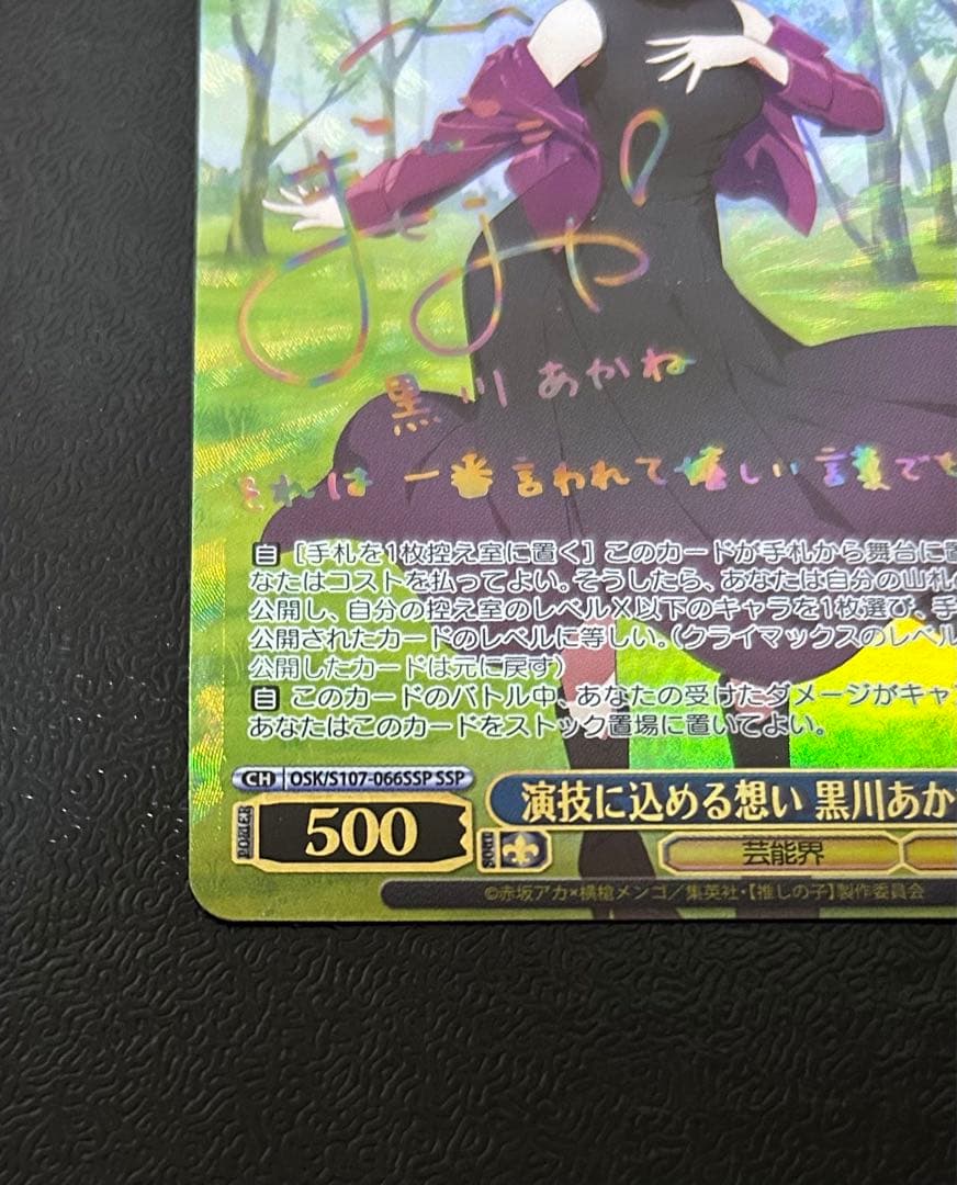 入*集様 ヴァイスシュヴァルツ　演技に込める想い　黒川あかね　ssp