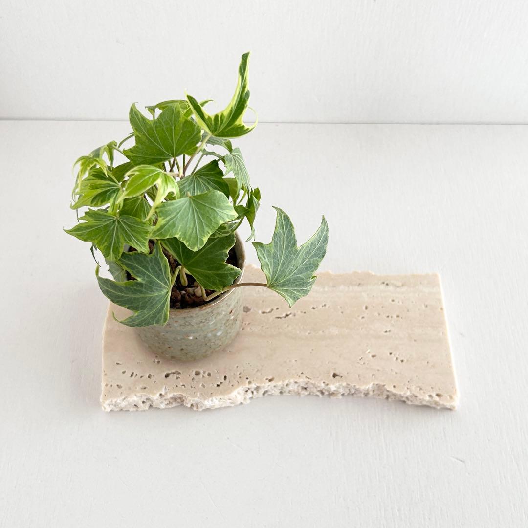 570ロマノトラバーチン（大理石端材プレート） - メルカリ