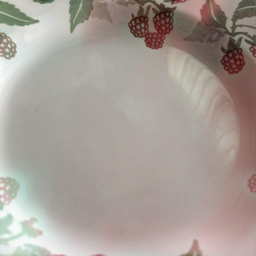 新品 一級品 エマブリッジウォーター ラズベリー ディナープレート L 2