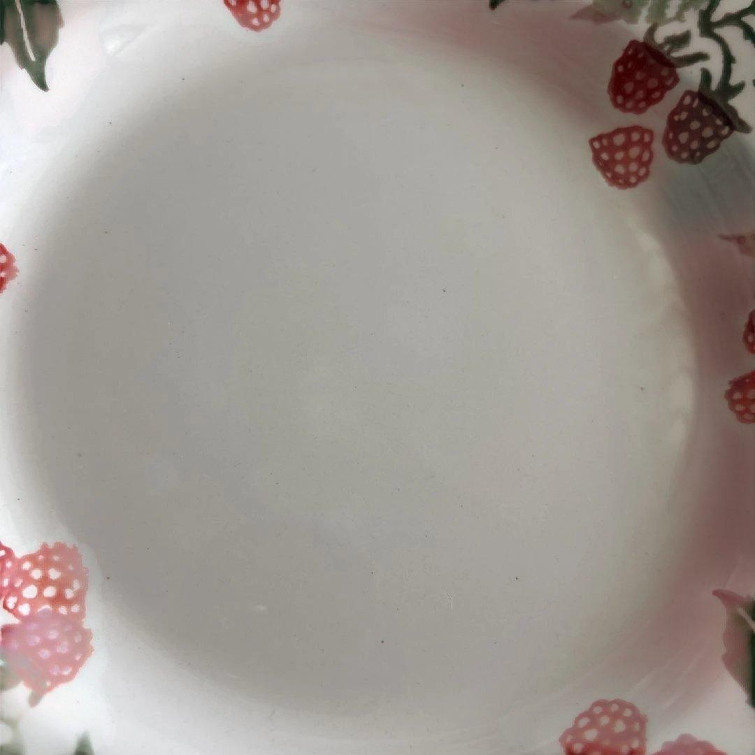 新品 一級品 エマブリッジウォーター ラズベリー ディナープレート L 2