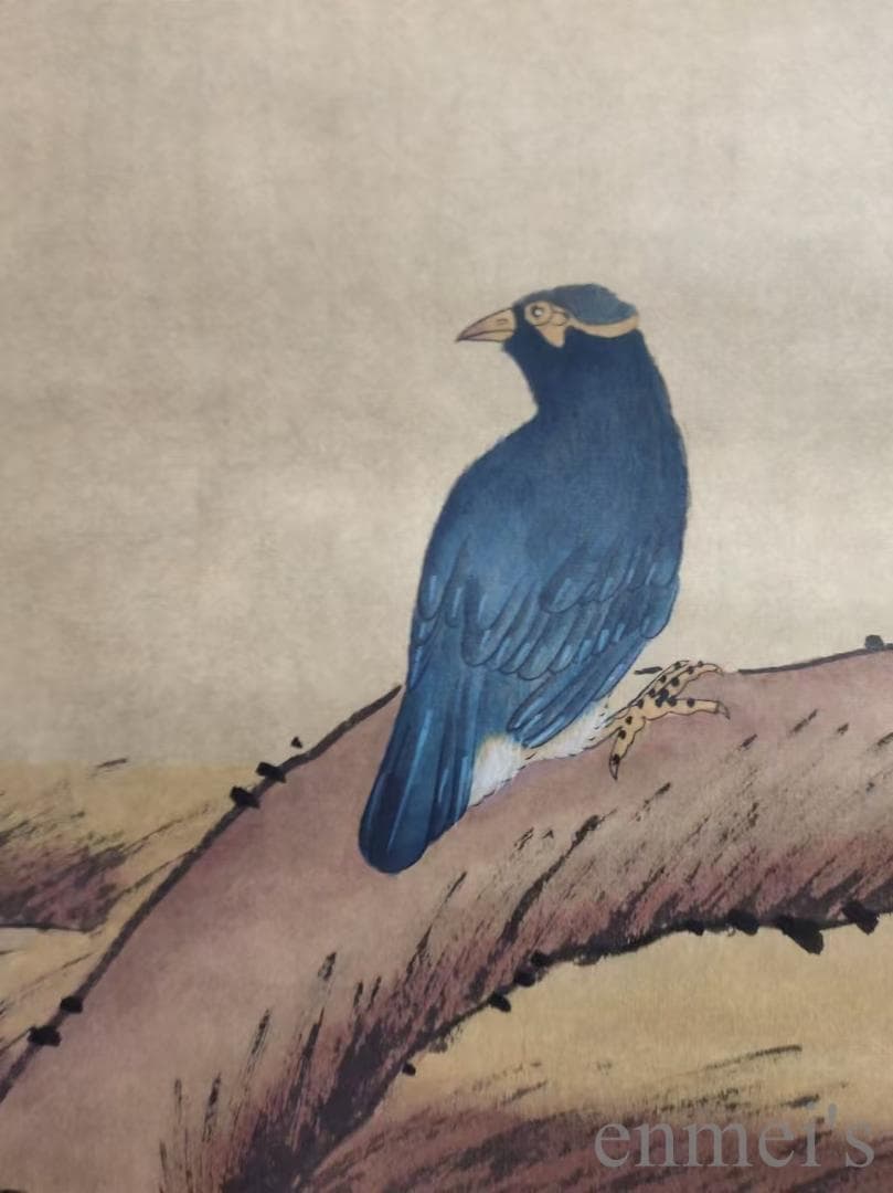 中国古美術.清時代.蔣廷錫款.花鳥図.宣紙.三尺.肉筆.掛け軸.水墨画.旧