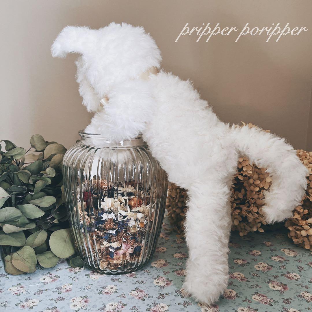 sample しろねこのあみぐるみ　ふわふわ　猫　ぬいぐるみ　白猫