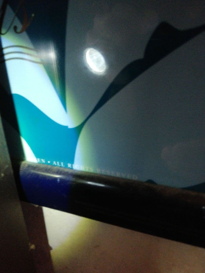 ラッセン額縁、イルカ＆フォール