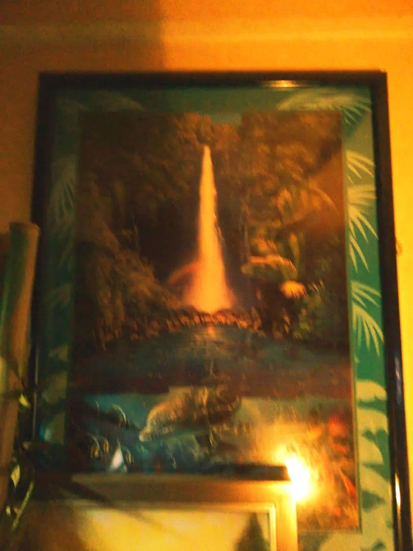 ラッセン額縁、イルカ＆フォール