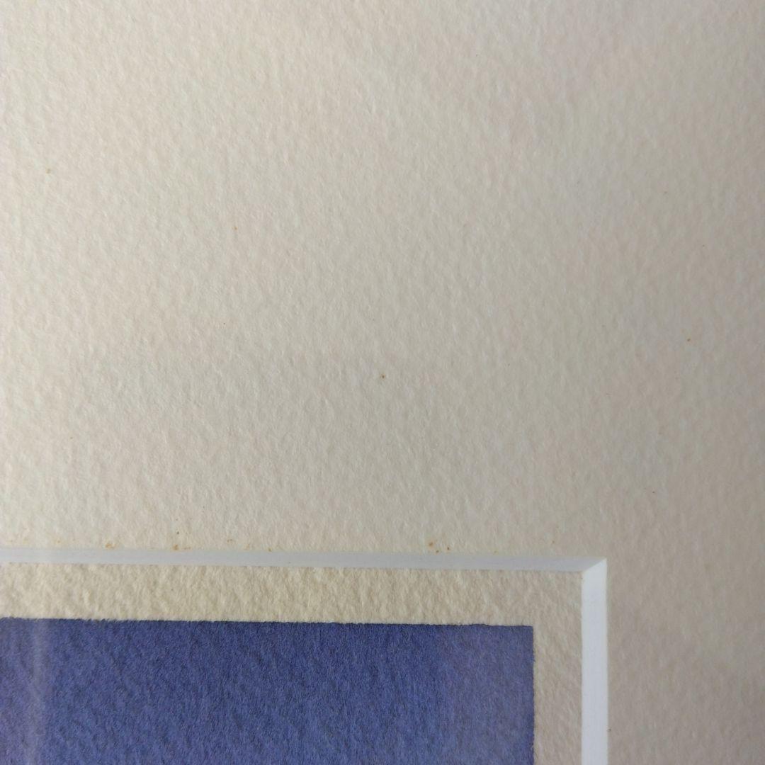 ヴィーヴィ・ケイパイネン 水彩画 1997年 - メルカリ