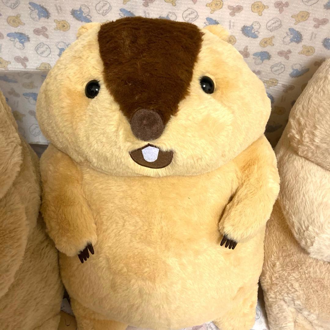 マーモットのもっとっと ウルトラBIGぬいぐるみ BIG ぬいぐるみ タグ