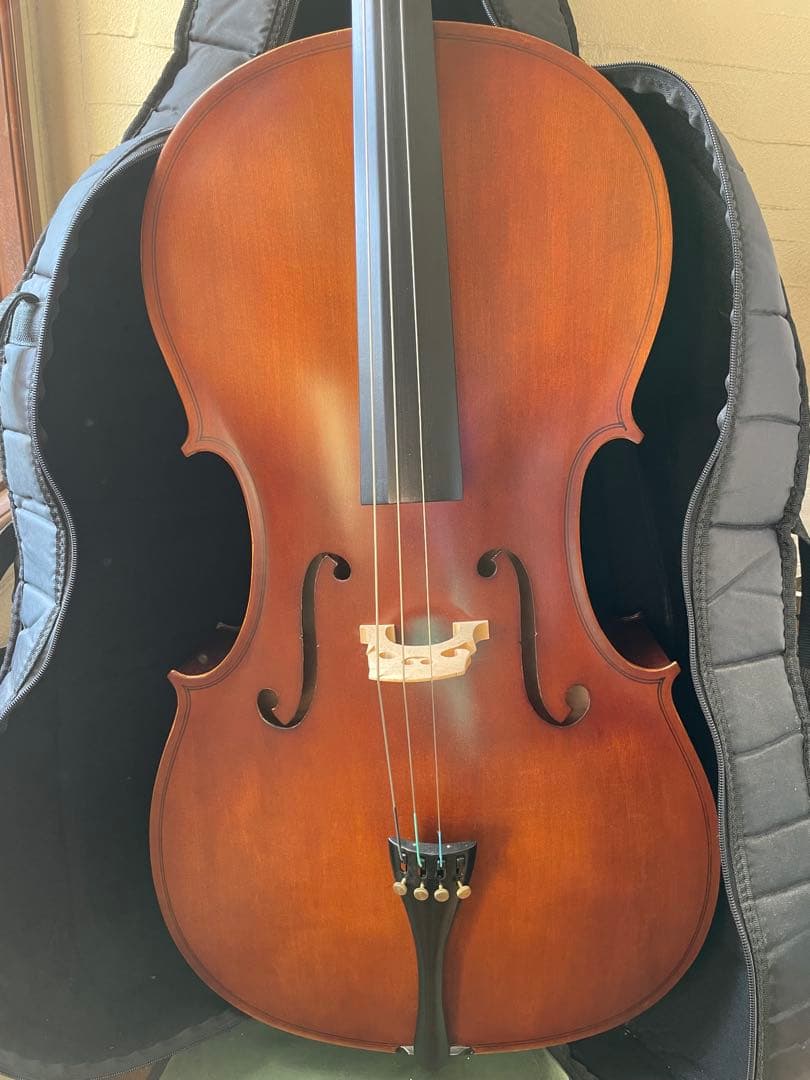 【極美品】Hallstattハルシュタット HC-450チェ 口