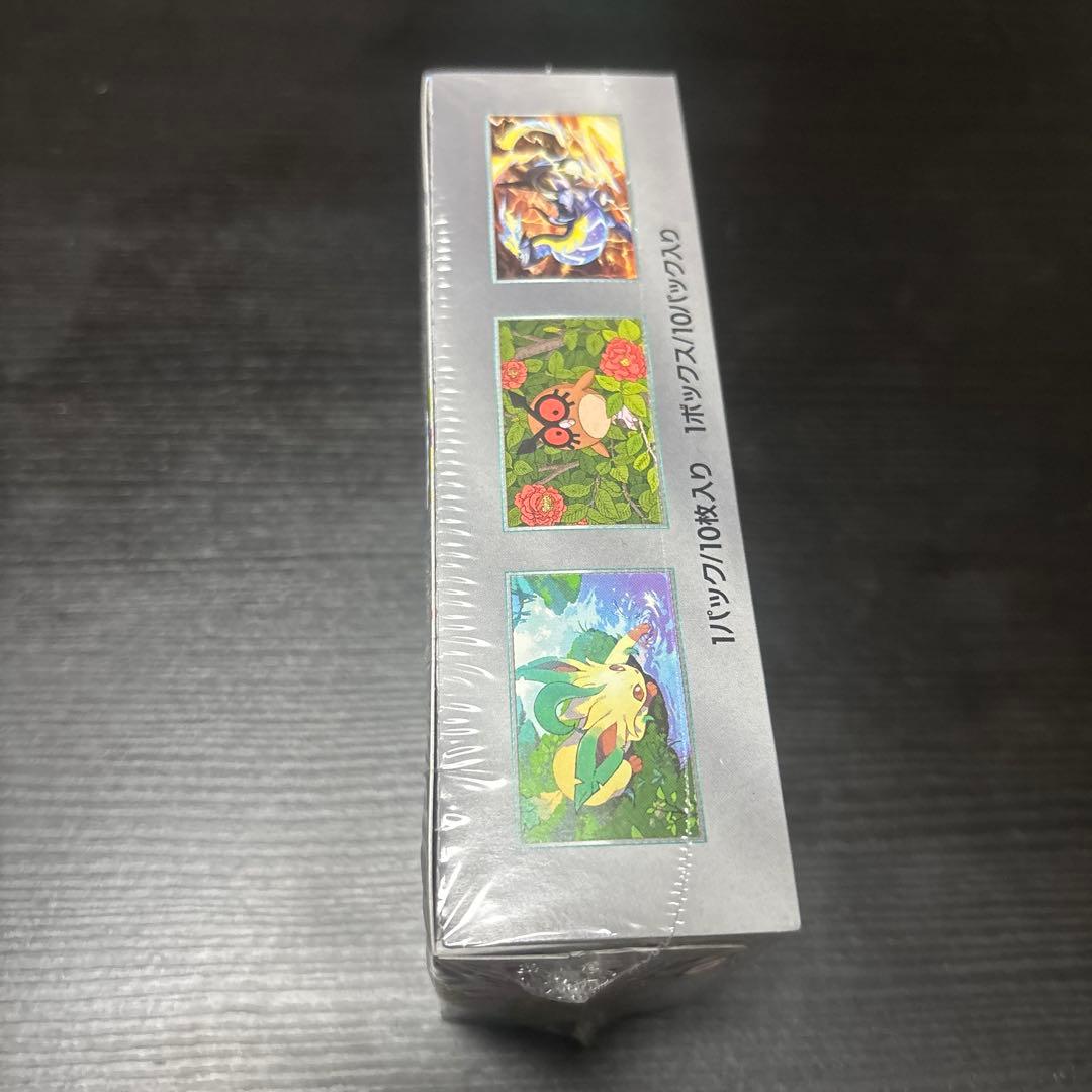 れ*い様 ポケモンカードゲーム EDUN デラスティクス